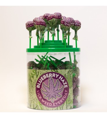 SUCETTE BLUEBERRY HAZE